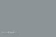 Weinert 2422 - Molak 4-M-Light Grey, matt 164M (18 ml)