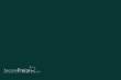 Weinert 2423 - Molak 5-M-Dark Green, matt 1149M/130 (18 ml)
