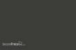 Weinert 2432 - Molak 14-M-Olive Drab, matt 166M