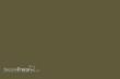 Weinert 2434 - Molak 17-M-Khaki, matt 126M (18 ml I RAL 8000)