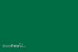 Weinert 2439 - Molak 32-M-Lawn Green, matt 1101M (18 ml)