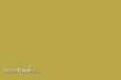 Weinert 2445 - Molak 21-M-Sovereign Gold, metallic 116T (18 ml)
