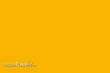 Weinert 2478 - Molak LMU-2 Yellow Facings 1154M (18 ml)
