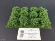 Silhouette 252-42 - Micro Büsche / Micro bushes N/Z/TT/H0 Sommer/ summer