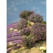 Silhouette 253-16 - Rhododendron violett N/TT/H0 ca. 2,5cm 5 Stück