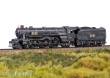 Trix T25492 - AC/DC Schlepptender-Dampflokomotive Black Ice