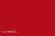 Weinert 26110 - Nitro-Acryl-Farbe RAL 3002Karminrot 100 ml