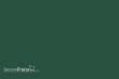 Weinert 2629 - Nitro-Acryl-Farbe RAL 6020Chromoxidgrün 25 ml