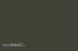 Weinert 2636 - Nitro-Acryl-Farbe RAL 7022Umbragrau 25 ml