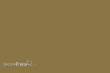 Weinert 2641 - Nitro-Acryl-Farbe RAL 8000Grünbraun 25 ml