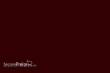 Weinert 2643 - Nitro-Acryl-Farbe RAL 8012Preuß.rotbraun 25 ml