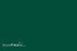 Weinert 2655 - Nitro-Acryl-Farbe RAL 6005Moosgrün 25 ml