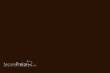 Weinert 2660 - Nitro-Acryl-Farbe RAL 8017Schokoladenbraun 25 ml