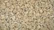 Juweela 27052 - 1:72 Ziegel (RF) beige mittel, 2000x