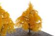 Silhouette 279-64 - Lärche/ Larch NZ Z/N/TT/H0 8cm Spätherbst/ late fall