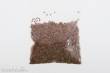 Juweela 28072 - 1:87 Ziegel (NF) terrakotta Mix, 6000x