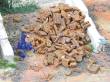 Juweela 28186 - 1:87 Industrieschrott rostig Echtrost, 25g
