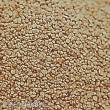 Weinert 2891 - Schotter beige (0)