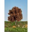 Silhouette 291-44 - Kastanie/ Chestnut (NEU) 15-20cm Spätherbst/ late fall