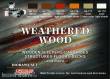 Lifecolor CS20 - Weathered wood