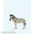 Preiser 29529 - Zebra