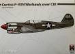 Hobby 2000 48002 - 1:48 Curtiss P-40N Warhawk over CBI