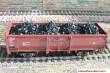 Modellbahn-Bachmann 3030101 - Kohle für Roco, für den 2-achs. off. Güterwagen E (Art.- Nr.46010 u.ä.) Größe: 99 x 30 mm
