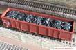 Modellbahn-Bachmann 3030401 - Kohle für Roco, für den 4-achs. off. Güterwagen Eaos (Art.-Nr: 47828 u.ä.) Größe: 145 x 30 mm