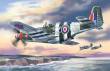 ICM 48123 - 1:48 Mustang Mk.III RAF Fighter