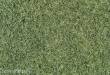 Heki 33540 - Wintergras 75g, 6mm
