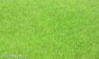 Heki 33541 - Steppengras hell 75g, 6mm