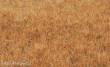 Heki 33545 - Grasfaser Wildgras Spätherbst 75 g