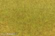 Heki 3371 - Grasfaser Wildgras Herbst, 75 g, 5-6 mm
