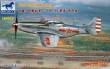 Bronco Models FB4010 - 1:48 PLA P-51D/K Mustang (1949 Parade)