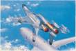 Hobby Boss 81715 - 1:48 PLA J-11B