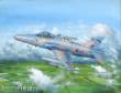 Hobby Boss 81737 - 1:48 Hawk Mk.200/208/209