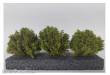 Silhouette 350-51 - Büsche 3er Set / bushes set of 3 3-4cm Frühling/ spring