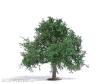 Busch 3652 - Apfelbaum 75 mm, Sommer