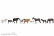 Noch 36713 - Tiere auf dem Bauernhof