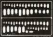 Eduard Accessories 00006 - Ovale Gravierschablone in 1:72