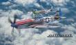 Eduard Plastic Kits 2147 - ACES OF THE EIGHTH DUAL COMBO 1/72 EDUARD-LIMITED