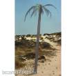 Royal Model RM056 - Palm tree
