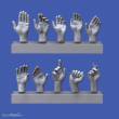 Royal Model RM962 - Assorted hands set No. 1