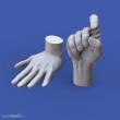 Royal Model RM964 - Assorted hands set No. 3