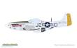 Eduard Plastic Kits 11196 - MIGHTY EIGHT: 65th Fighter Wing
