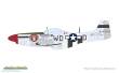 Eduard Plastic Kits 11196 - MIGHTY EIGHT: 65th Fighter Wing