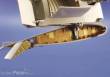 Eduard Accessories 32124 - F4U-4 Corsair I Interior für Trumpeter Bausatz in 1:32