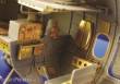 Eduard Accessories 32524 - TBF-1 Avenger interior in 1:32