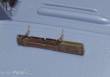 Eduard Accessories 49237 - SBD-3 Dauntless für Hasegawa Bausatz in 1:48