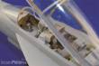 Eduard Accessories 49334 - F-18F Super Hornet interior für Hasegawa Bausatz in 1:48